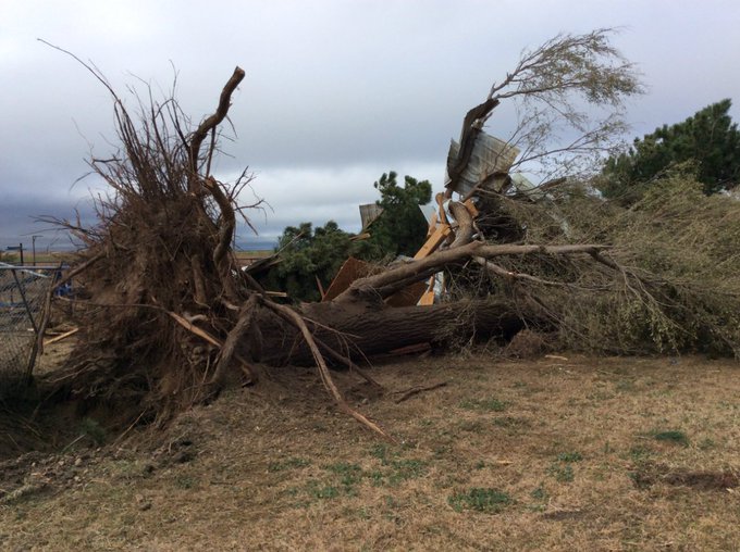 View image on Twitter View image on Twitter