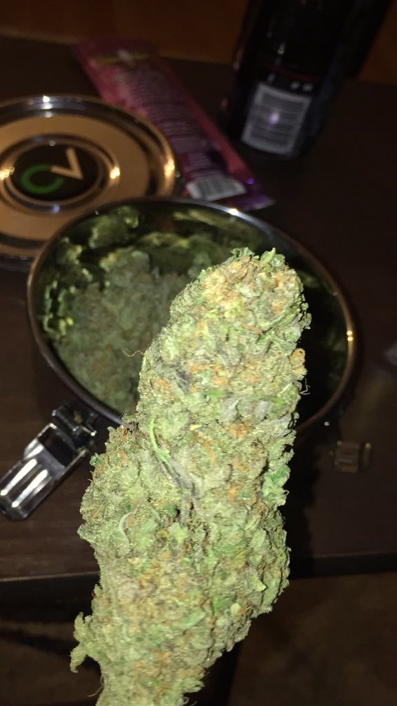 HelloMyStrainIs's tweet photo. LA Confidential nug lookin good!!!
@BuckNasty63 @420 @WeedStrains156 @ThaStonerNation @BudPictures @DankPost https://t.co/TUmmO7xkCQ