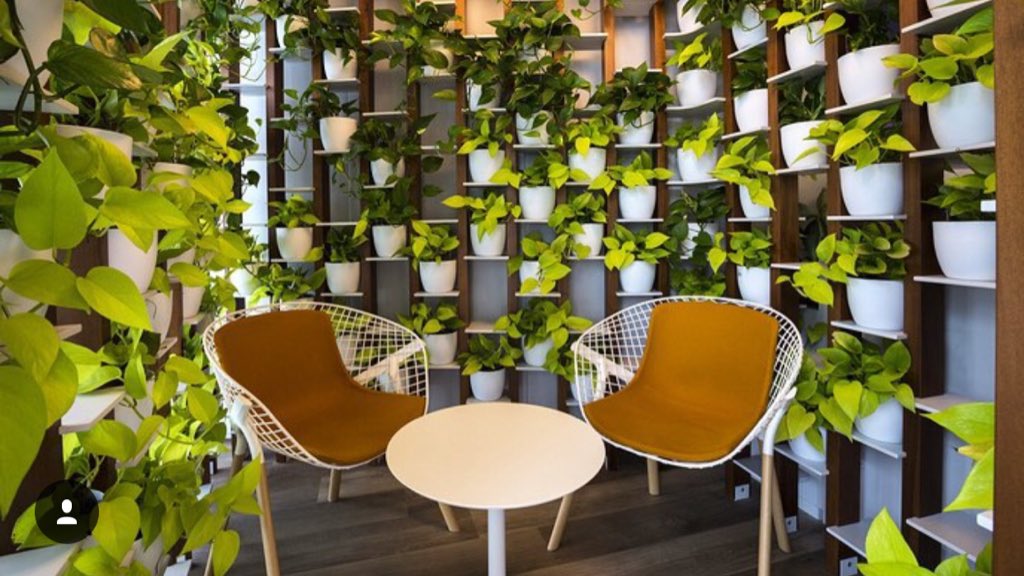 Space530's tweet photo. More than a #livingwall it's a whole living room at the @LinkedIn #Milan office (and those chairs!). #InteriorDesign https://t.co/P5afJLYQtU