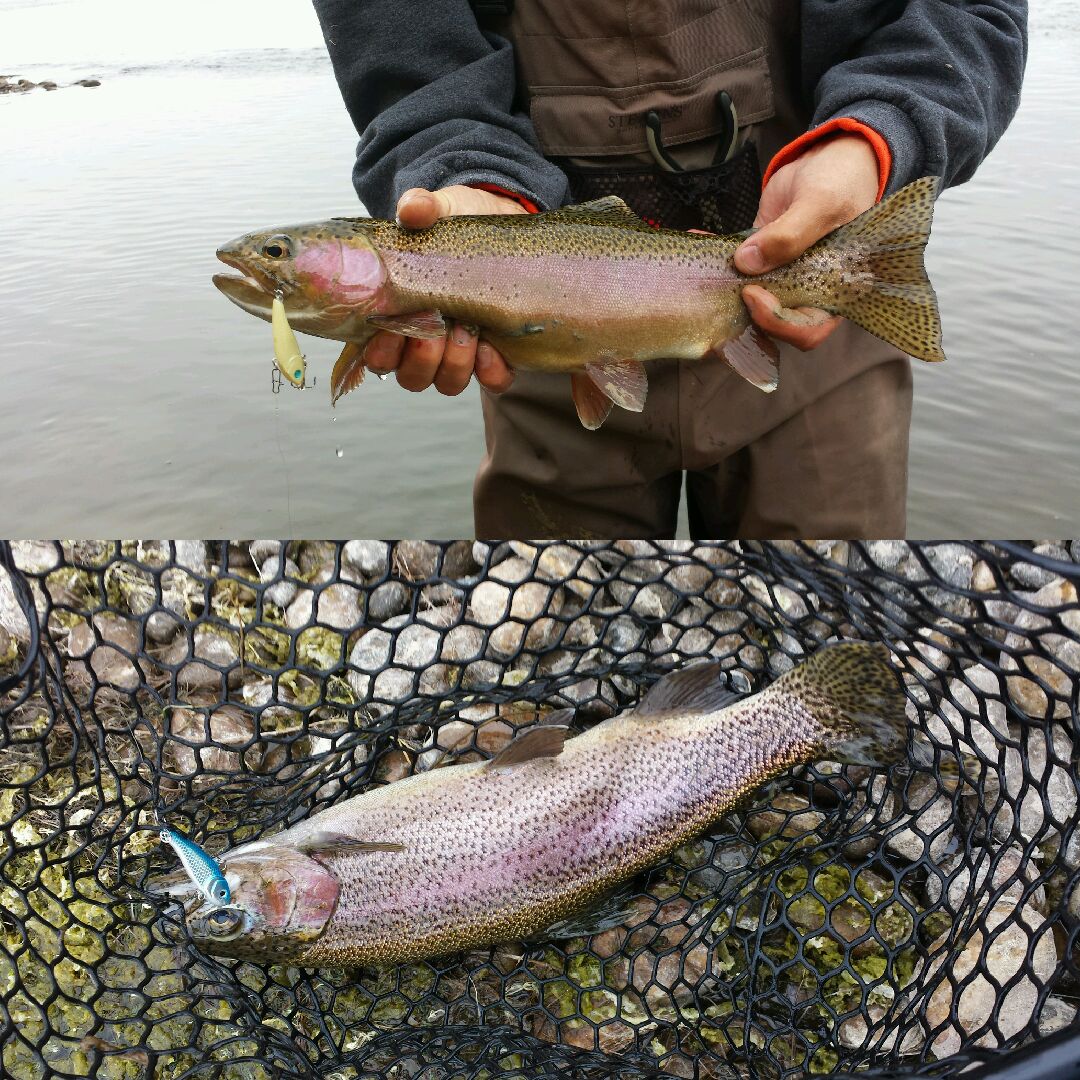 SFO303's tweet photo. HD Ice in open water while river fishing. Its not only for the Ice. #DynamicLures #HDIce #sfo303 https://t.co/5wOUZIIvSo