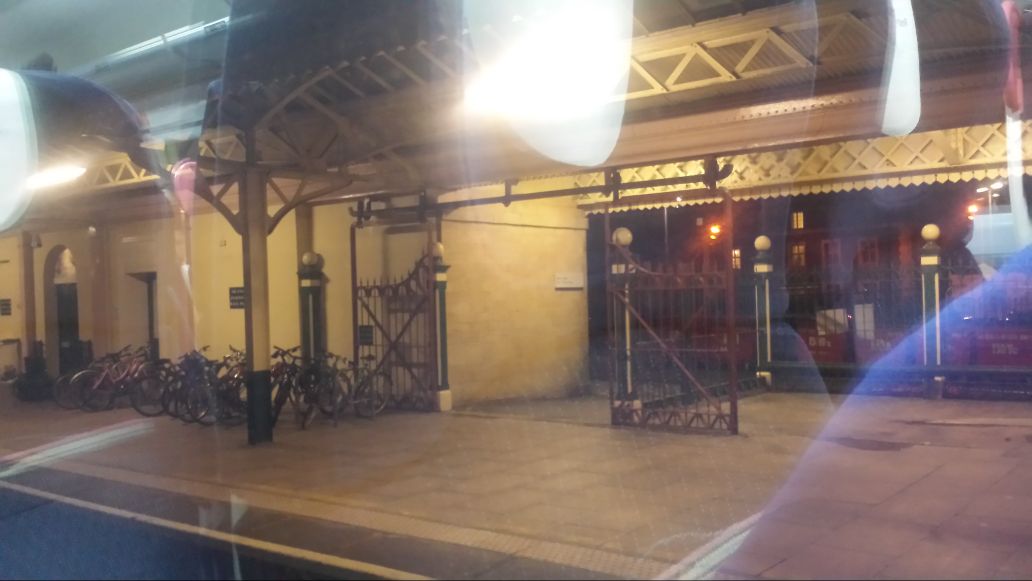 Sioned Horton-Evans tweet media