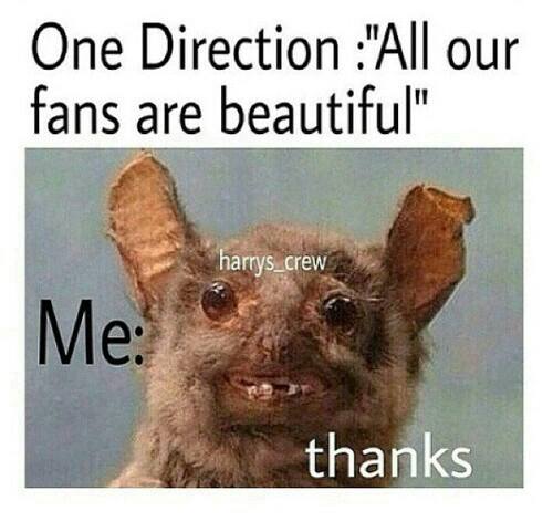 XalatiCom's tweet photo. :( its me :( @Real_Liam_Payne @Louis_Tomlinson @NiallOfficial @Harry_Styles  #1DGE :( https://t.co/HvfpPY9wFb
