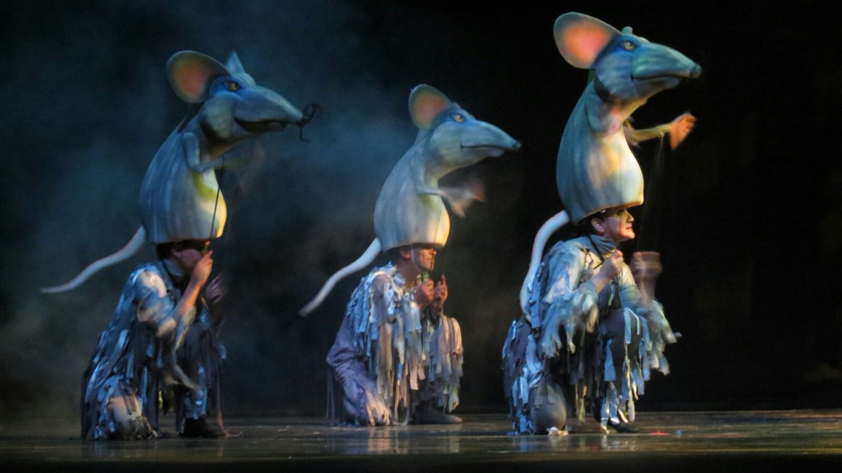 Tranquilidad de espíritu Superficial ven Mauro Ballet on Twitter: "Los ratones están ya listos para El Cascanueces  La Venganza del Rey Ratón y tu? #LaVenganzaDelReyRaton #mybc  https://t.co/Bkdr2Qc0Cv" / Twitter