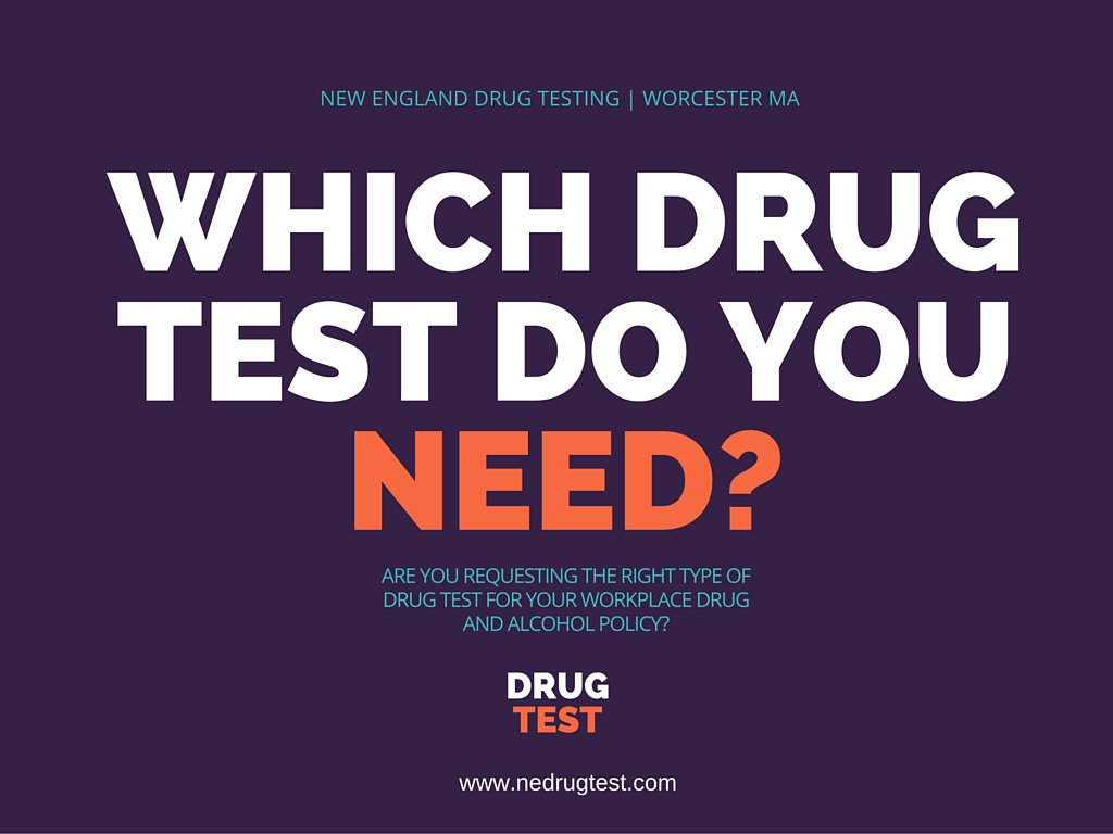 NEDrugTesting's tweet photo. Is your #smallbusiness utilizing the right #workplace drug and alcohol policy? https://t.co/zFkJoZqnEd https://t.co/Kz4QiNQU1q