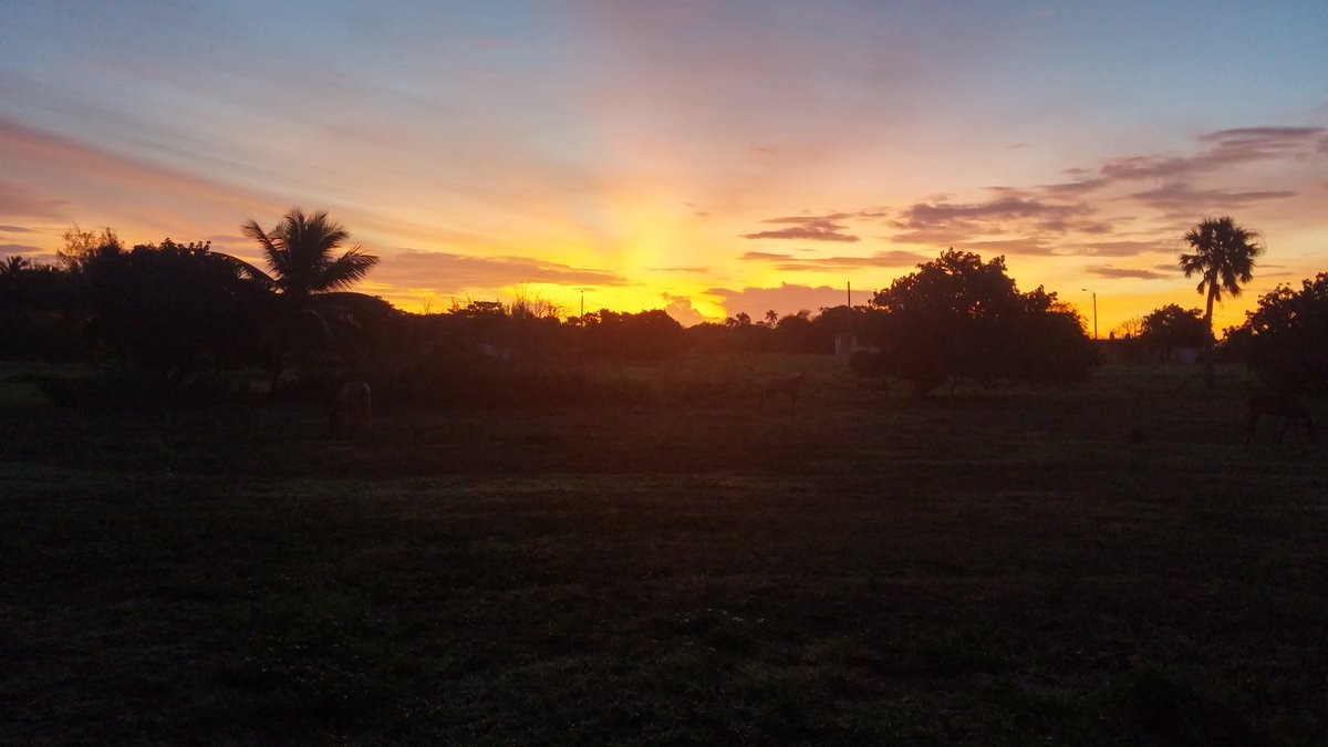 AvilesWonka's tweet photo. Hoy am ... Area norte @PuertoRicoPUR @TravelPUR https://t.co/swZJctNgL4
