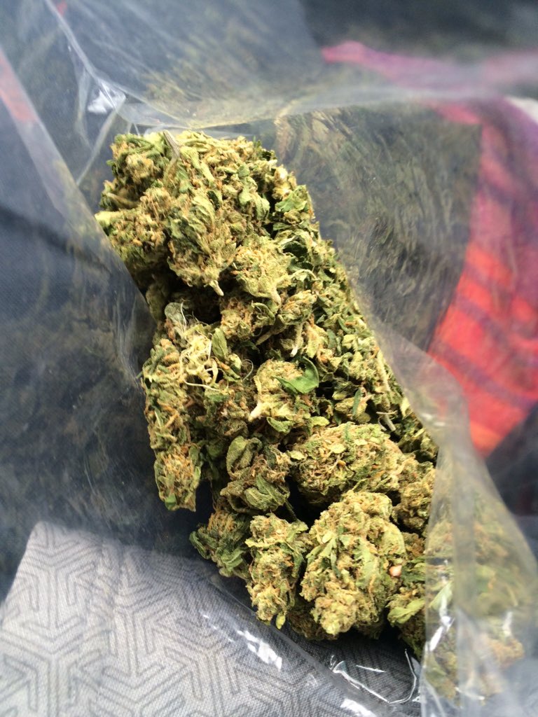WeedStrains156's tweet photo. @rdreamboatstone @DADDYSPIPES @zongglass @KushJoint OG #StayHigh https://t.co/bLoeOeM4Gs
