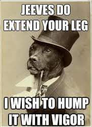 Hazzy1987's tweet photo. @Joekeenan7 if your dog was a lord 😂😂 https://t.co/gUJtOcu7Hw
