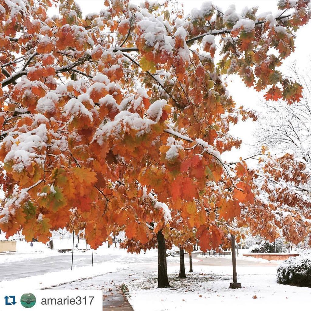 coschoolofmines's tweet photo. “Fall leaves 🍂🍁Winter wonderland 🌨❄️” 📷 @amarie317 #minesfall #MinesSnow #ColoradoLive (at Colorado School of Mines) https://t.co/UaFrGMIoJf