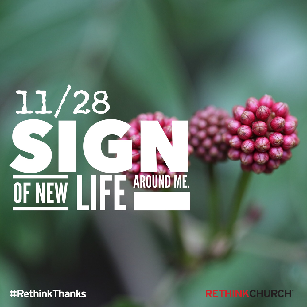 umrethinkchurch's tweet photo. Good morning. Listen for the gratitude in each moment today. Share them with #RethinkThanks https://t.co/L2LtH1hleY https://t.co/WPVefLYwKi
