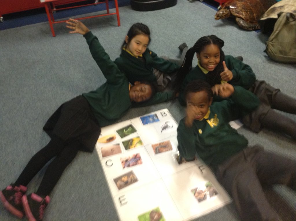 Kender_Y4S's tweet photo. London zoo trip. Mini beasts session. Excellent classifying 4S. https://t.co/mhGTUfMBNt