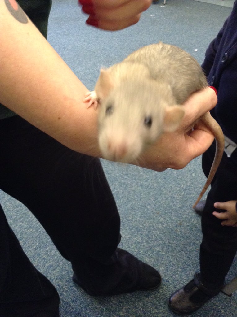 SunnysideSA's tweet image. #WildScience #Enrichment #Learningisawesome!