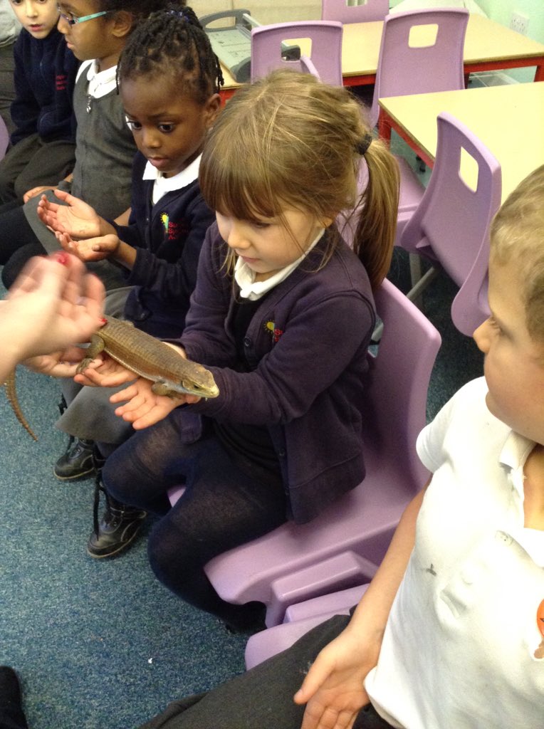 SunnysideSA's tweet image. #WildScience #Enrichment #Learningisawesome!