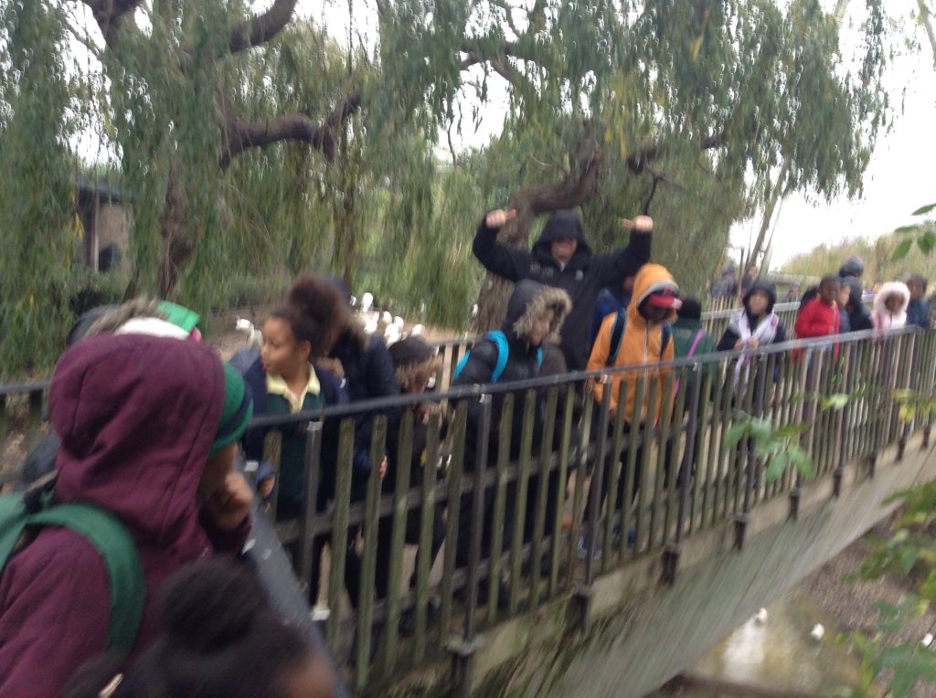 Kender_Y4S's tweet photo. London Zoo Trip. 4S. Amazing to get so close to the tiger and giraffes. https://t.co/IfVZ0svaXi