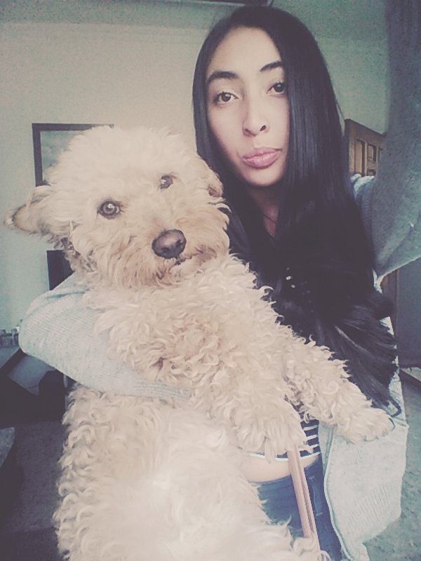 129dani's tweet image. Dog:3