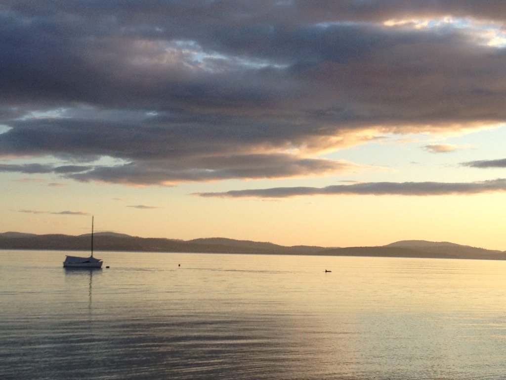 Nice start to the day. Morning walk with dolphins #lauderdale