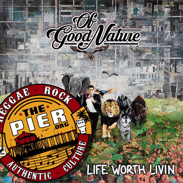 OfGoodNature's tweet photo. Thanks for the love @ThePierOrg !! https://t.co/vZmtJeNWGz