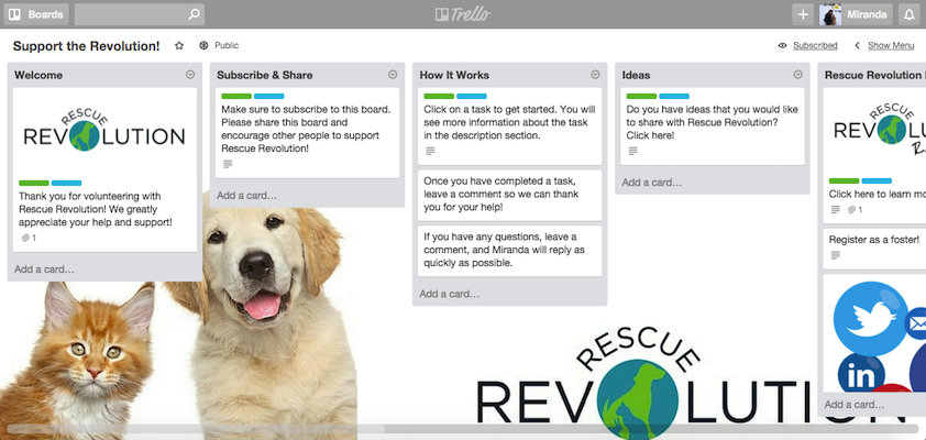 RescuRevolution's tweet photo. Get involved with #RescueRevolution by volunteering virtually! https://t.co/k7V3Z2tZb6
#volunteer #animal #Trello https://t.co/dWMkqNb1Dy