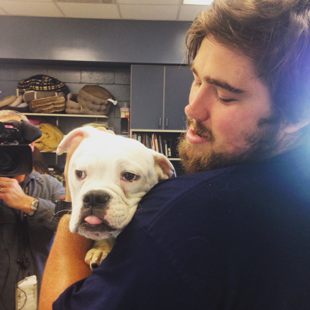 AnimalPlanet's tweet photo. Come meet @dandrews61 and Chris Harper from @Patriots at @MspcaAngell and have all adoption fees waived! #R2PB https://t.co/CxQSZMBacc
