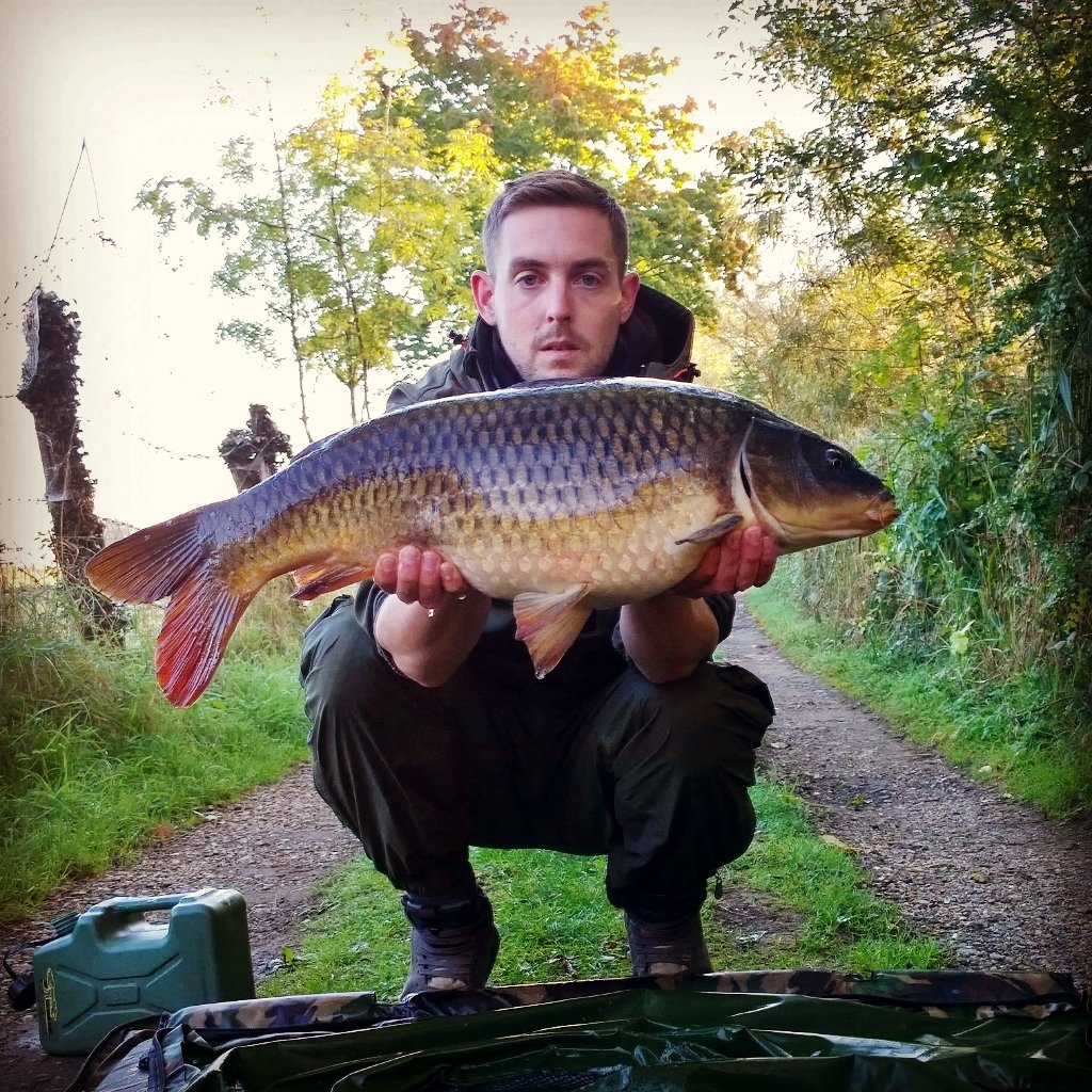 29_Buck's tweet photo. A little one from a few weeks back @DenhamBaits #element-l #QAUQB @atomictackleuk #chodda https://t.co/6y2NxxwVdt