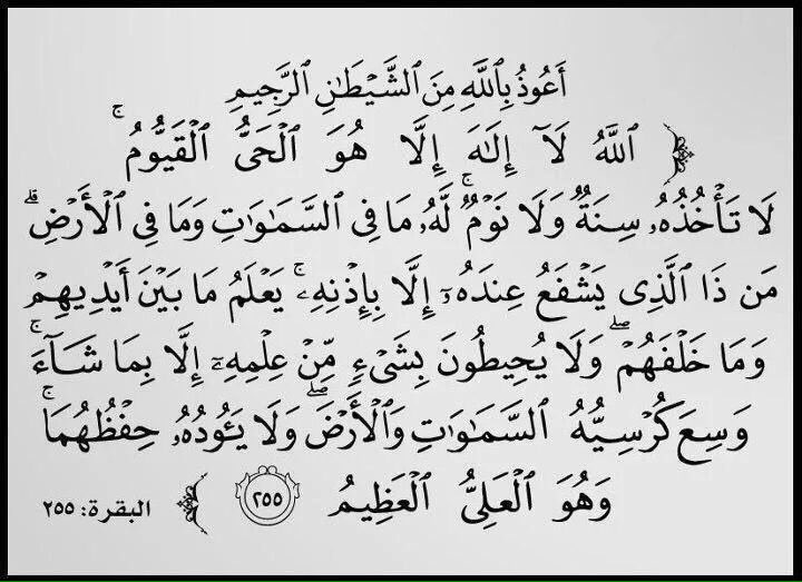 فاقد غالي (@b1b1v) on Twitter photo 