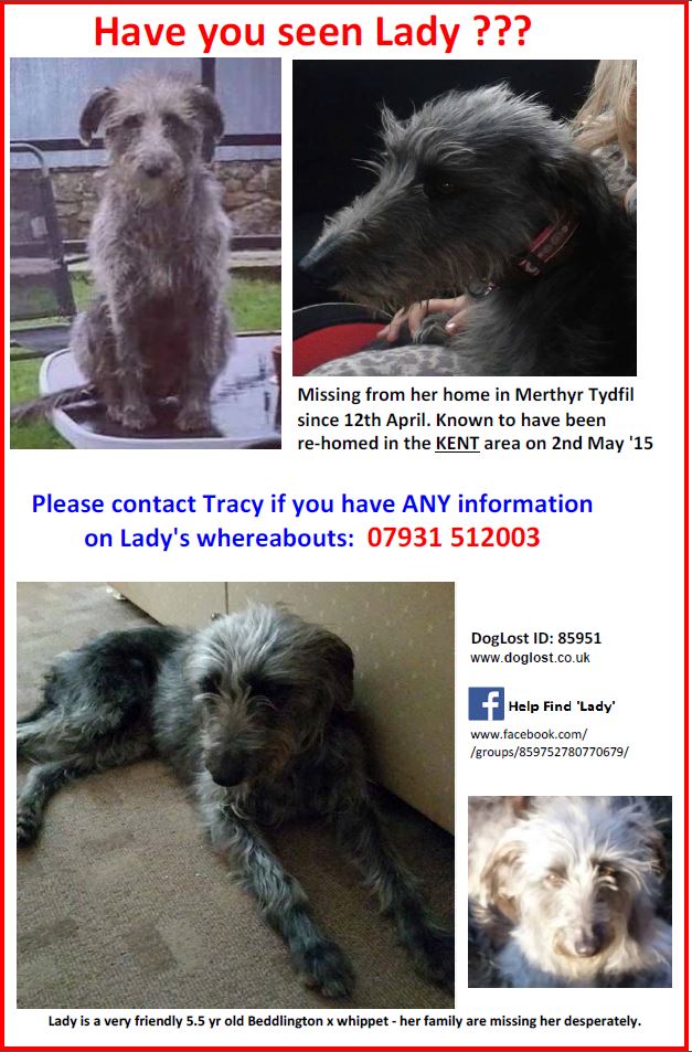 CyberMouse40's tweet photo. Lady is still missing :-( please RT xx @LadyStolen #helpfindlady https://t.co/9sGgIslZT1