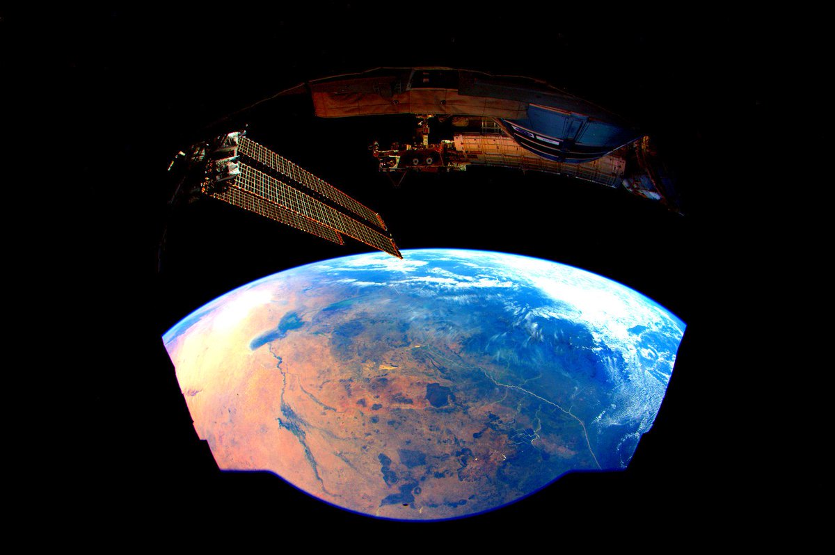 Scott Kelly tweet media