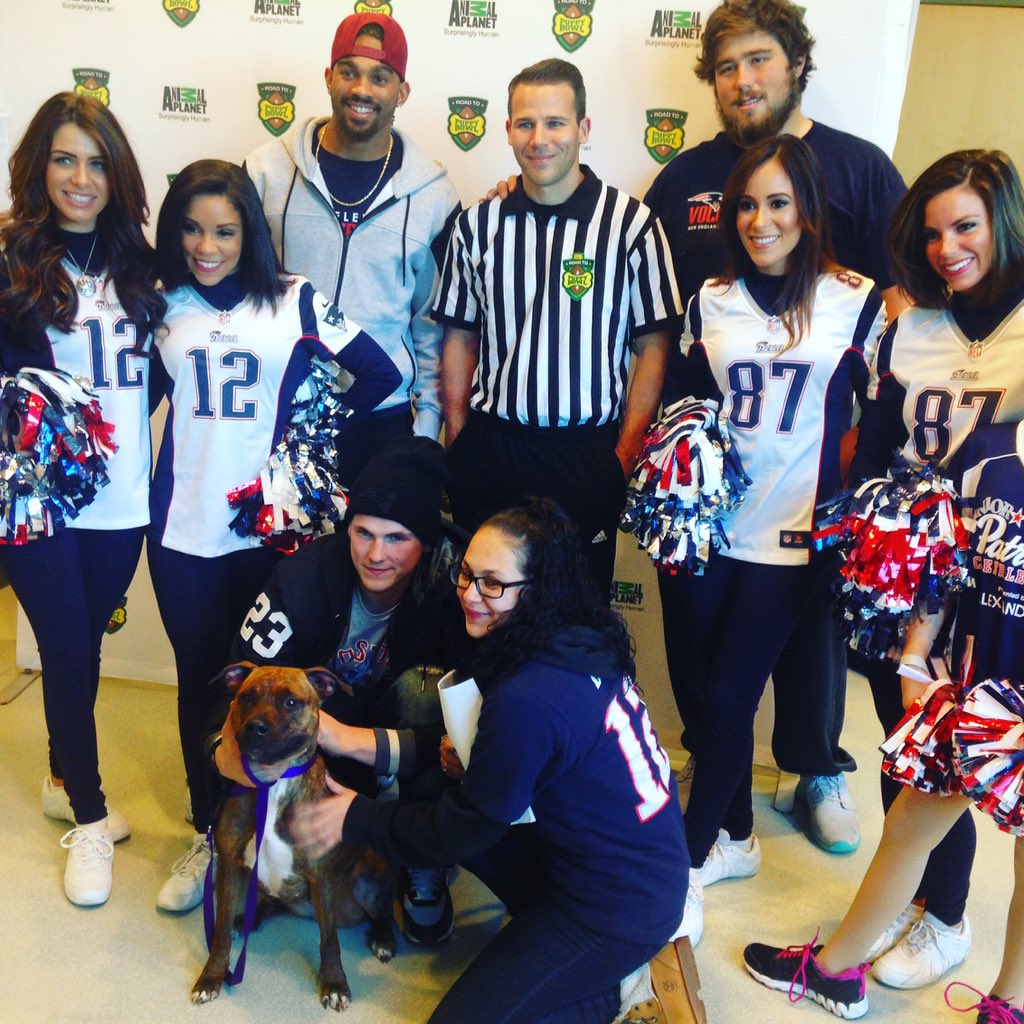 AnimalPlanet's tweet photo. 1-yo pit mix Beba got adopted! #R2PB @MspcaAngell @Patriots @PatsCheer https://t.co/23cjpuU1v2