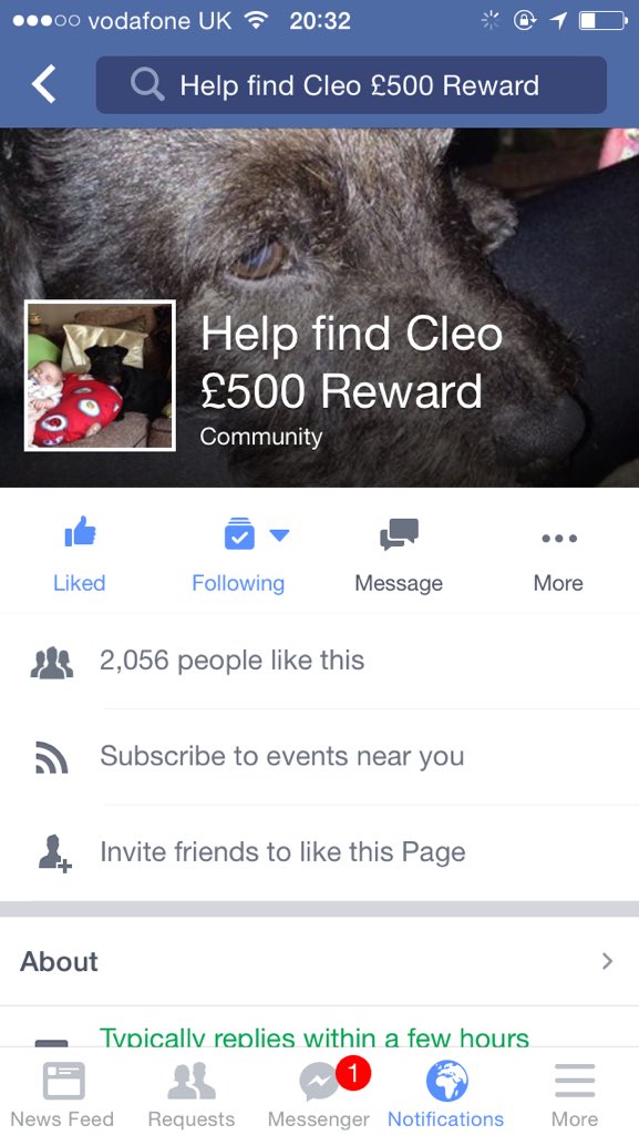findcleo's tweet photo. If you would be so kind, please could you like the #findcleo page on #Facebook 🐾 https://t.co/HaC3Z2mEiG