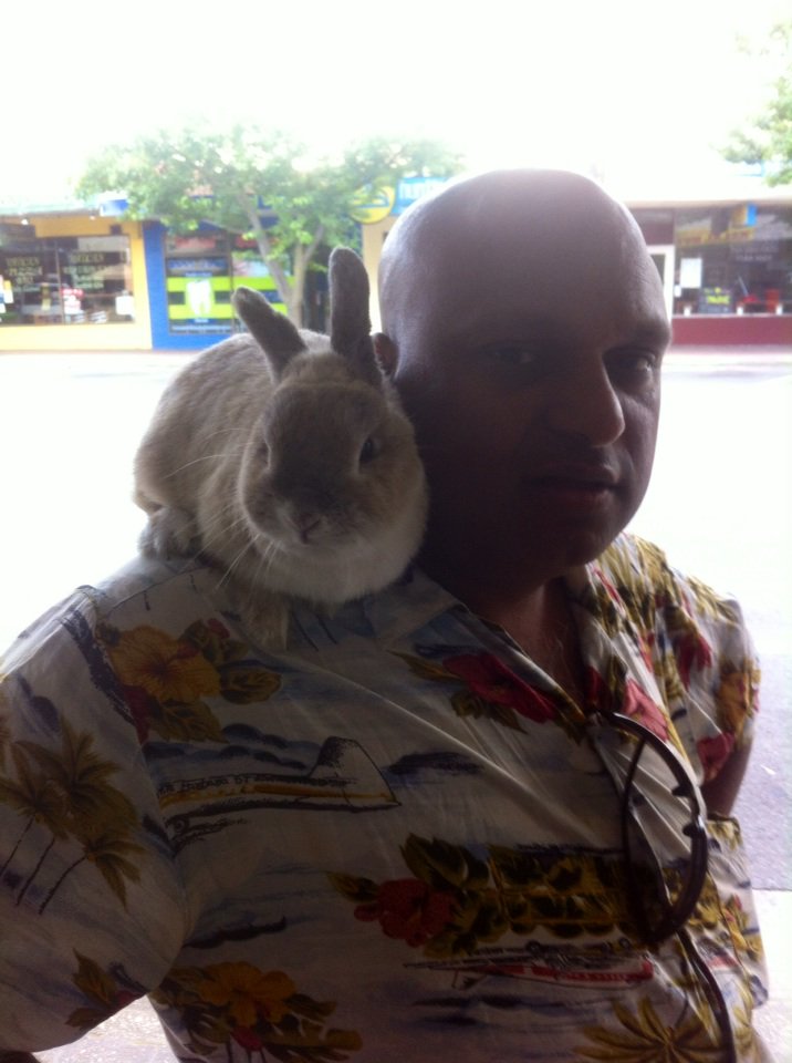 You come across some strange early morning sights in #Huntingdale !? #walkingtherabbit