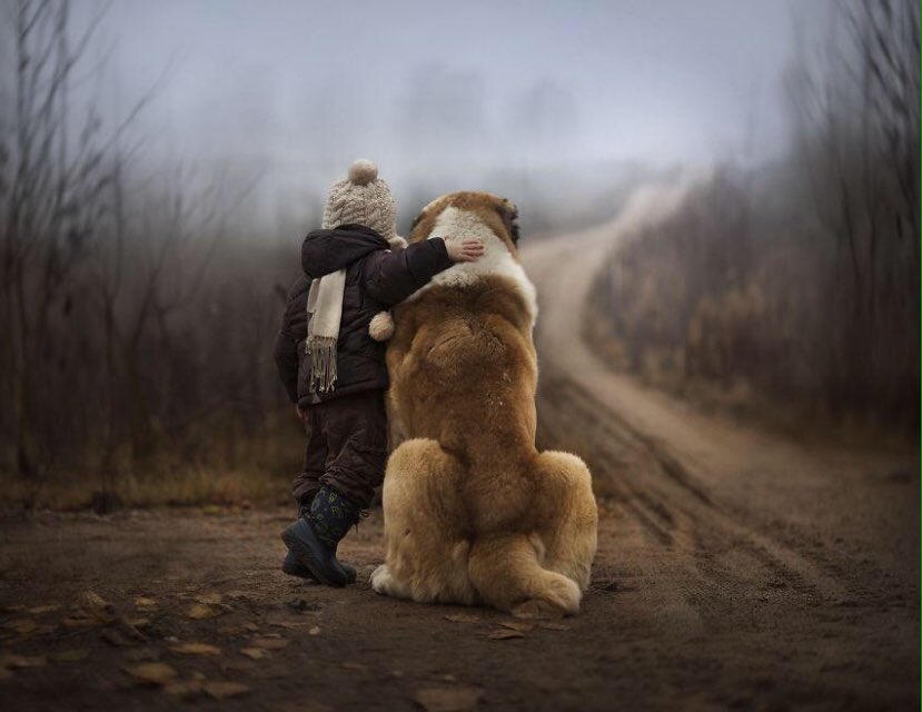 dogcelebration's tweet image. The bond between a dog &amp;amp; it's human is a beautiful thing! #DogCelebration 🐾🐾🐾🐶
