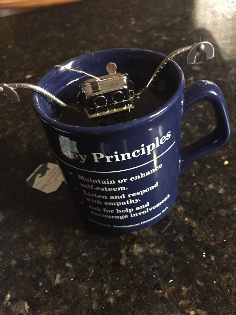 mar_tierney's tweet image. this lil guy is gonna inspire me to make tea more often #teainfuser #robotbuddy 👾