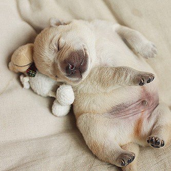 #love #quotes #need #lovequotes #lovequotesandsayings #lovelife #bestquotes #life #quotesoftheday #passion #positiv…