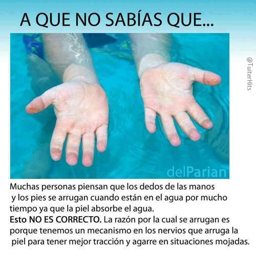 TE HE CAMBIADO LA VIDA, LO SÉ