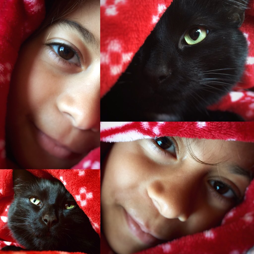 KidsRFoodies2's tweet image. #catsofinstagram #catstagram #modeltwins #model #blackcat #holiday #red #cat #FoodieFashionista #Caturday