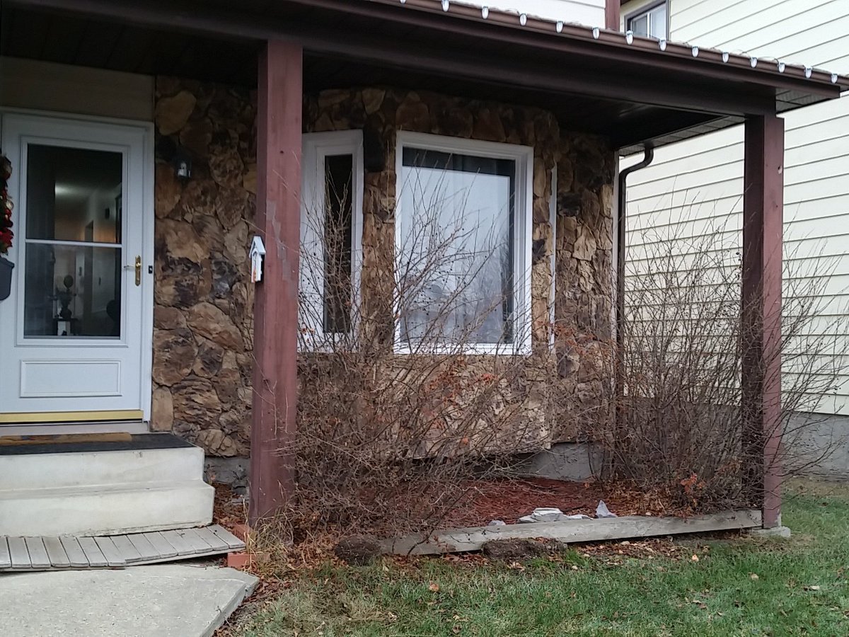 OhSoHarmful's tweet photo. @PepsiClutch I want to replace the supports, new concrete, remove shrubs, and put in a nice porch :) #Old #ToNew https://t.co/o5FbWIzLBT