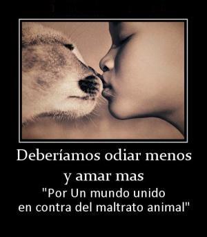 Deberiamos odiar menos...