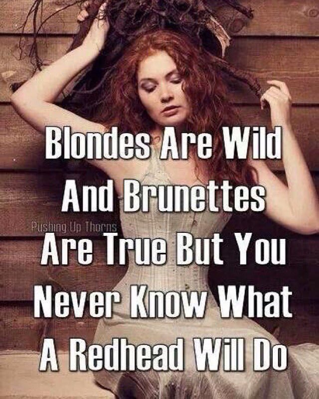 Ginger With Attitude On Twitter Blondes Are Wild Andginger Meme 