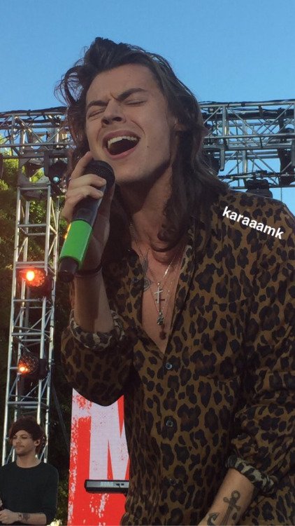 OneDirectionCa_'s tweet photo. thedailystyles:

karaaamk: HARRY!!! #1D #OneDirection https://t.co/TnrdomRSF3