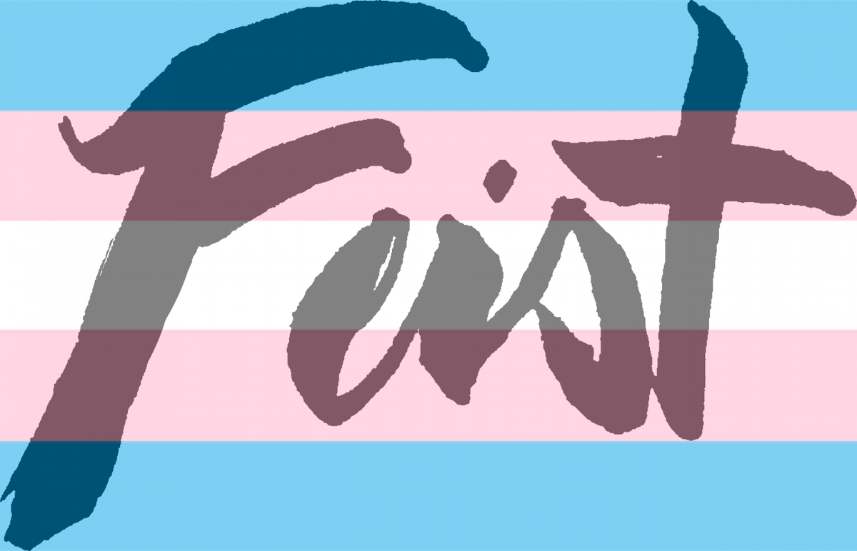 Happy #TransWk! Help raise the visibility of trans &amp; GNC issues by changing your DP here: messica.codes/transflag/