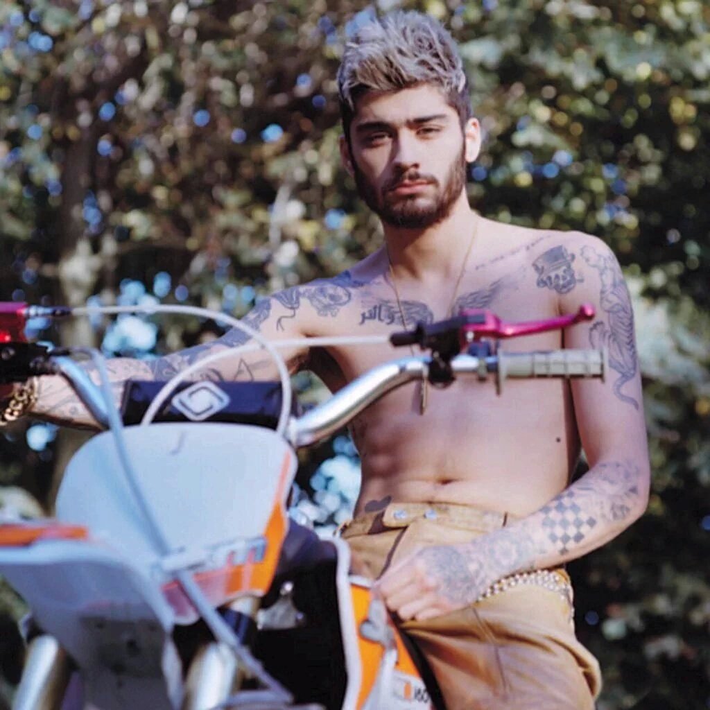 alejaandraprz's tweet photo. como no deis rt a esta foto de zayn yo ya abandono y me voy de la vida #1DES https://t.co/vnMpjrndI8