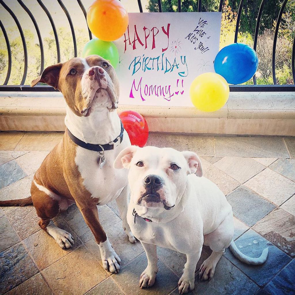 Daisy Fuentes: I m away from my babies on my bday & this pic made me happy. 