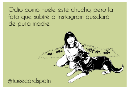 tweecardspain's tweet photo. Odio como huele este chucho... https://t.co/FAIExgjBNw