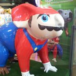 【マリオ】って言うには違和感もあるオーストラリアの【コアラマリオ】!