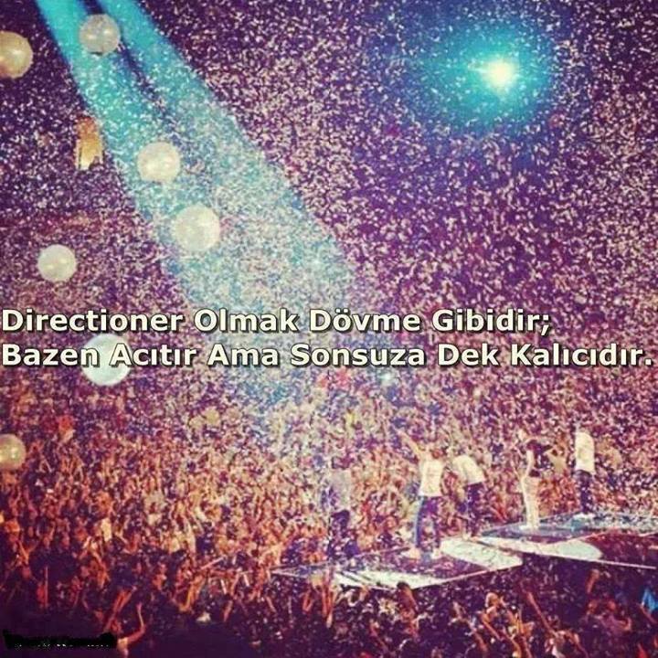 MedusaSkywalker's tweet photo. #1DTR https://t.co/qgooKLGhlT