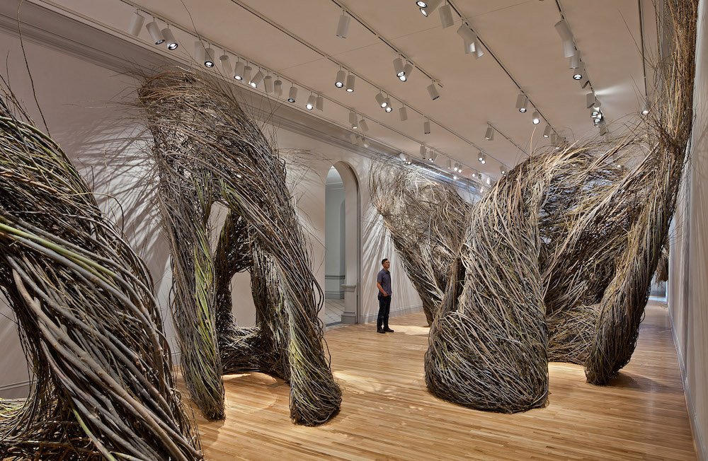 thisiscolossal's tweet photo. The Smithsonian’s 'Wonder' exhibition fills a renovated gallery floor-to-ceiling with art: https://t.co/9bFCJp2Bv6 https://t.co/K0mI2tEv2c