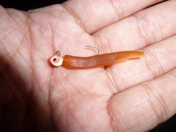 無料が一番 釣りエサを買わないでエサ釣りする方法 節約