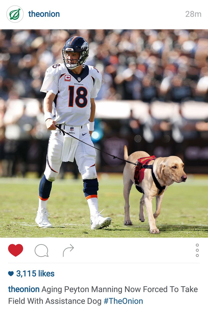 dougradwanski's tweet image. my fantasy squad got less than #jacksquat from this aging relic last week #negativepoints