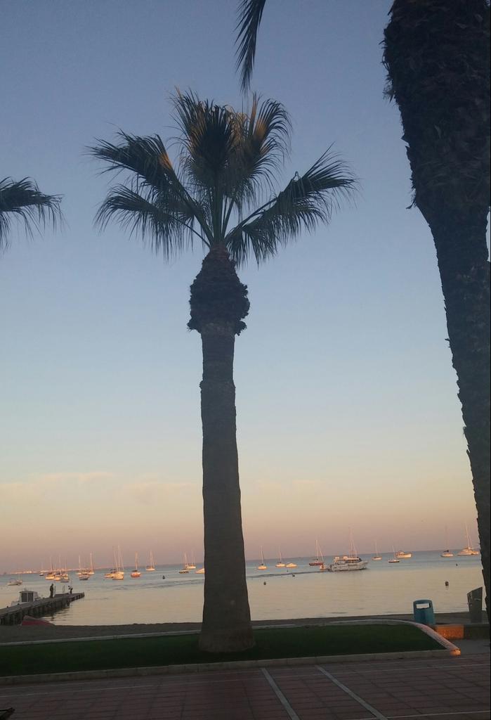 salva_psoemanga's tweet photo. #PuestoDeSol Poder disfrutar de estos bonitos colores desde el paseo Santiago de la Ribera no tiene precio #MarMenor https://t.co/pnZ9mLLCnt
