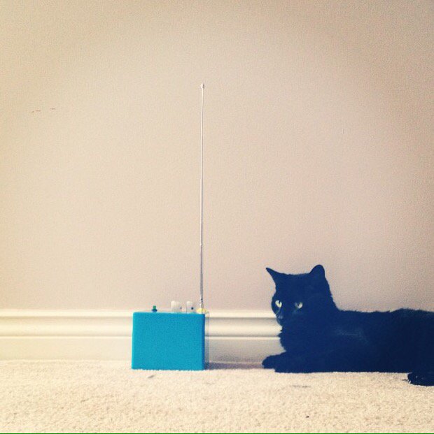 rebbaxter's tweet image. #blackcatday RIP Cleo