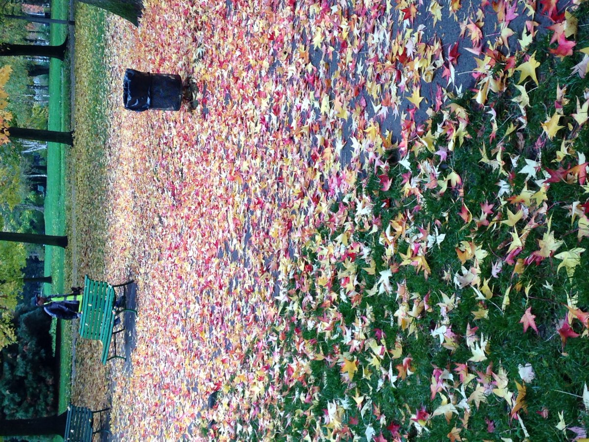 sunandadesh's tweet photo. Fall by lake #Geneva, captured last week! Terrorism cannot erase the beauty around us! #ParisAttacks #BeruitAttacks https://t.co/3jHwfOmHGp